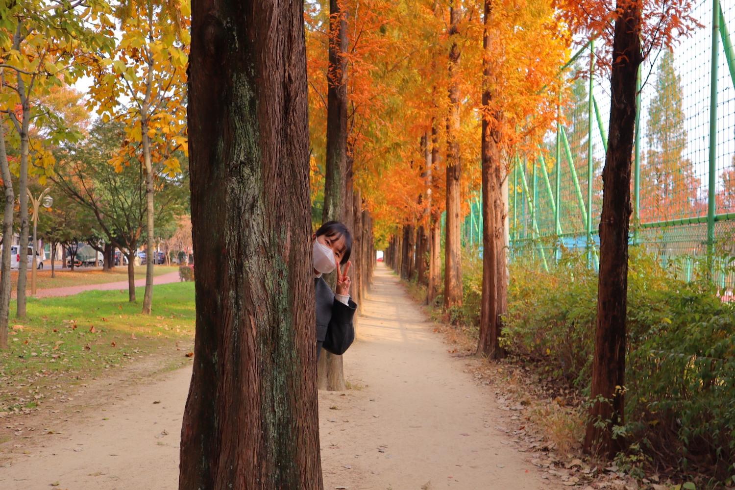 ฤดูใบไม้ร่วง