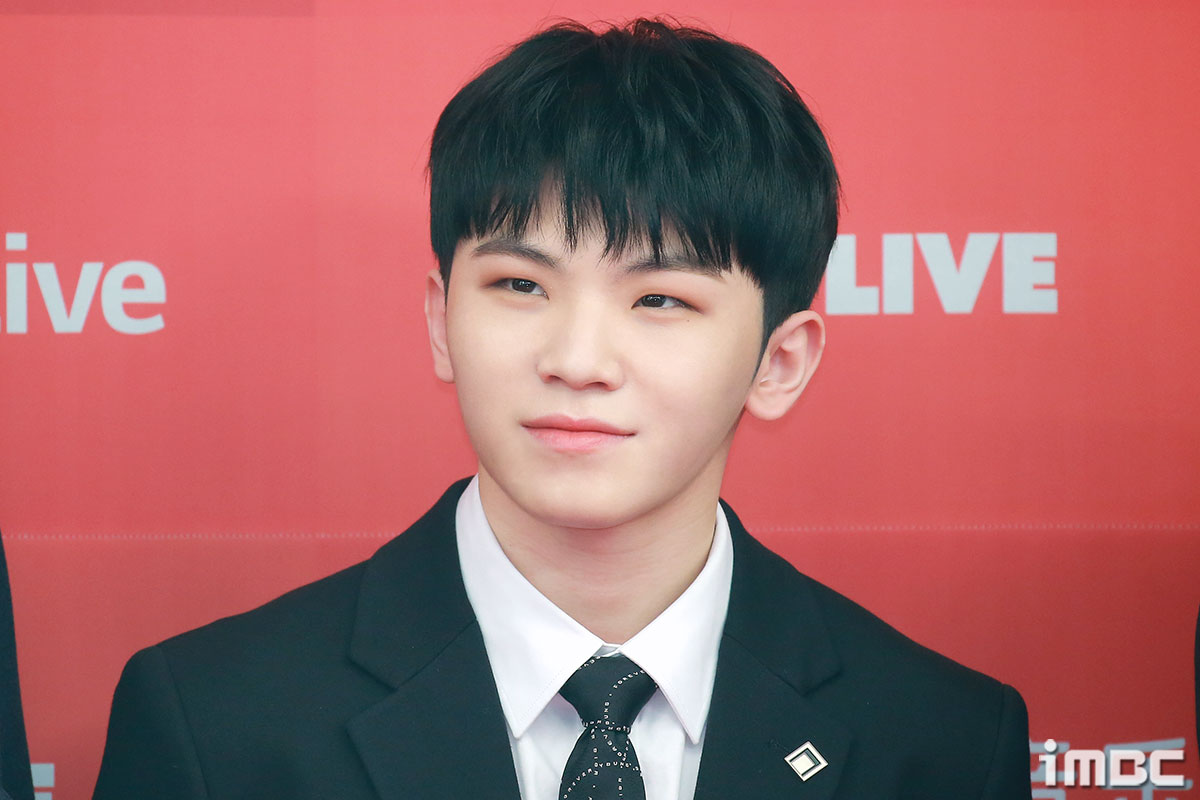 2025 版權費收入最高偶像SEVENTEEN WOOZI