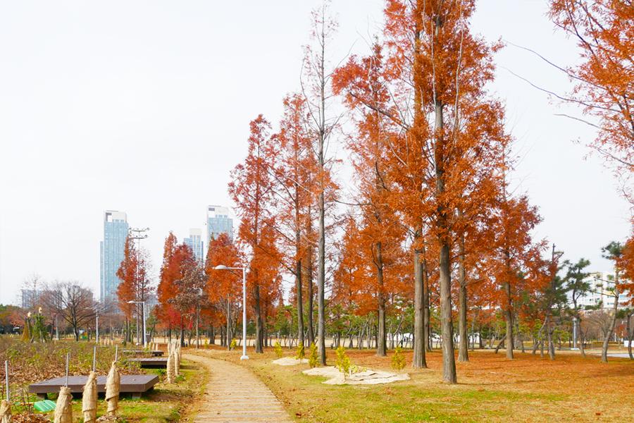仁川松島 推薦景點