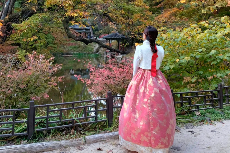 穿着传统红色韩服的女子在秋季色彩斑斓的花园中，背对着镜头欣赏风景。