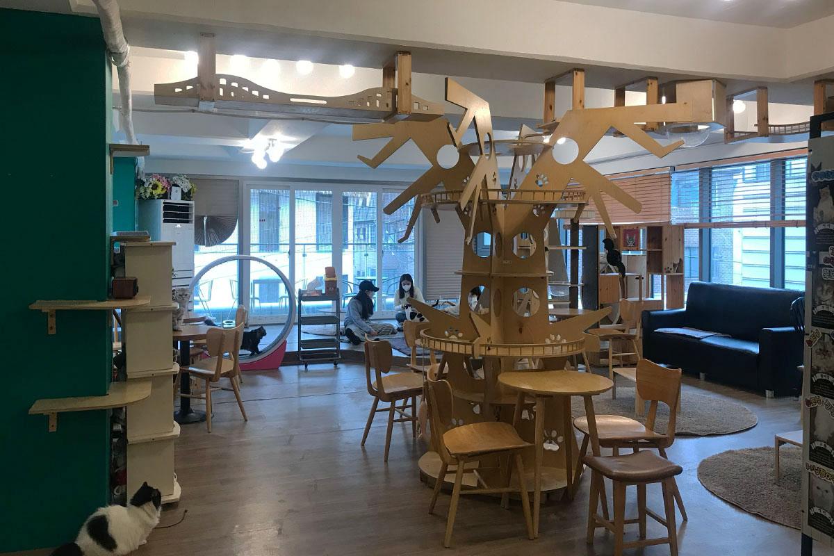 韓国、韓国旅行、韓国観光、ソウル、ソウル旅行、江南、カンナム、韓国アクティビティ、江南遊び、ボードゲーム、射撃、人生4カット、プリクラ、写真撮影、猫カフェ、タロット占い、脱出ゲーム