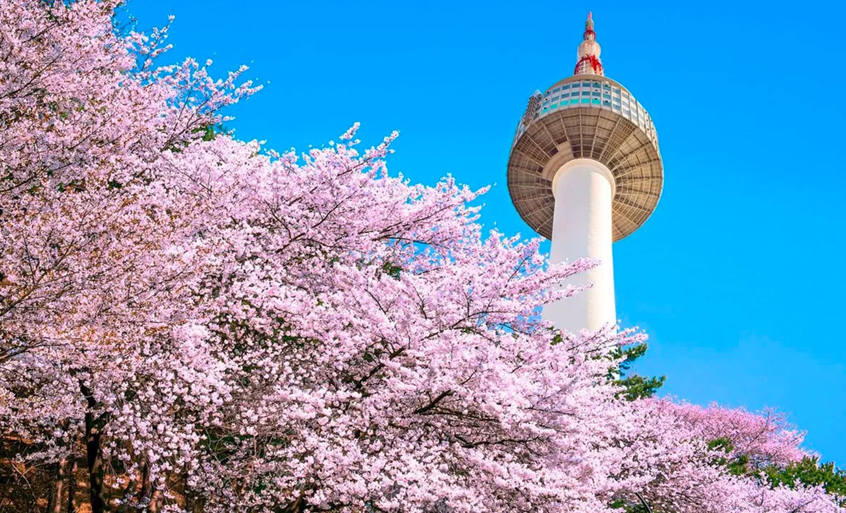 測試你邊個季節最適合去旅行？