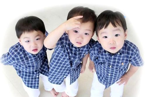 Creatrip 韓国での双子に対する考え方の歴史 Creatrip 韓国での双子に対する考え方の歴史