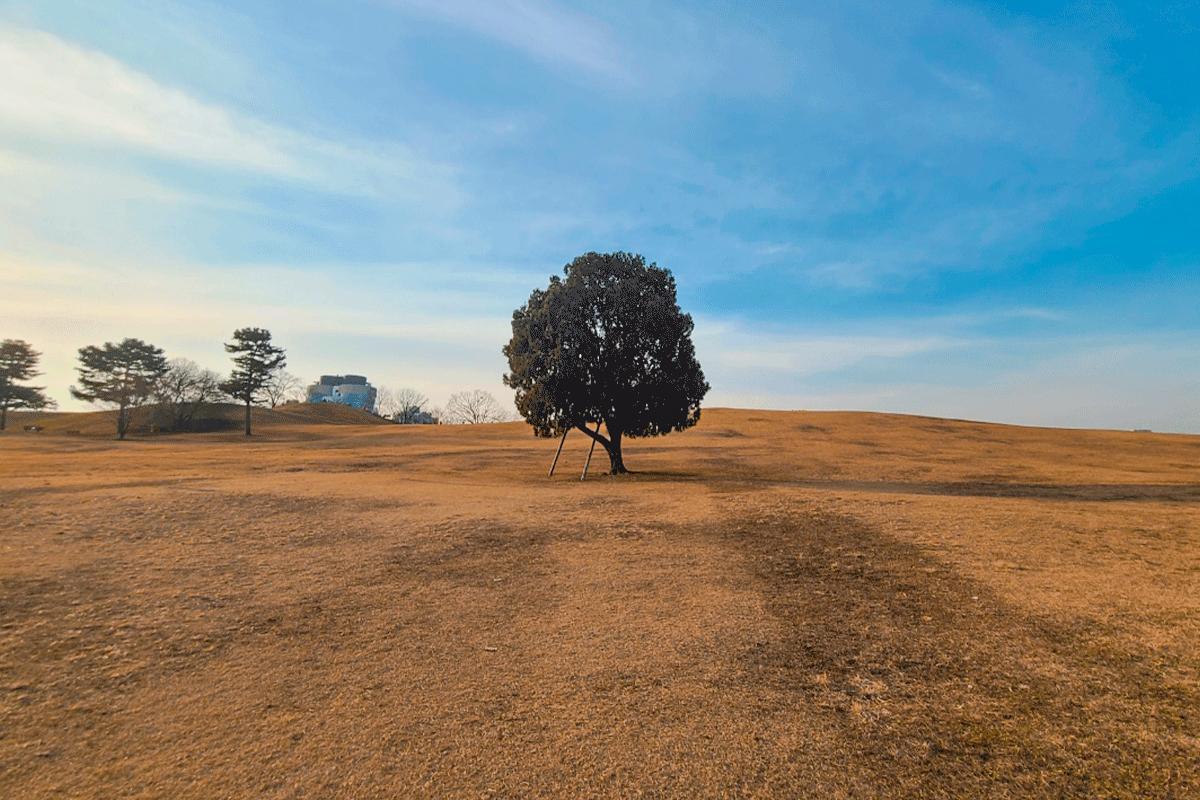 韓国、韓国旅行、ソウル、ソウル旅行、蚕室、チャムシル