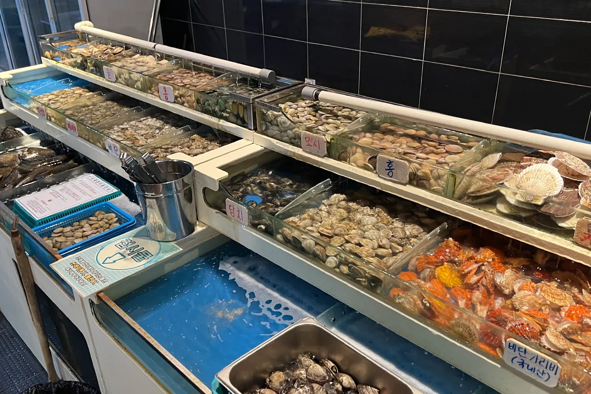 首爾蠶室美食 蠶室站樂天塔 美食餐廳 石村湖 餐廳 推薦必吃