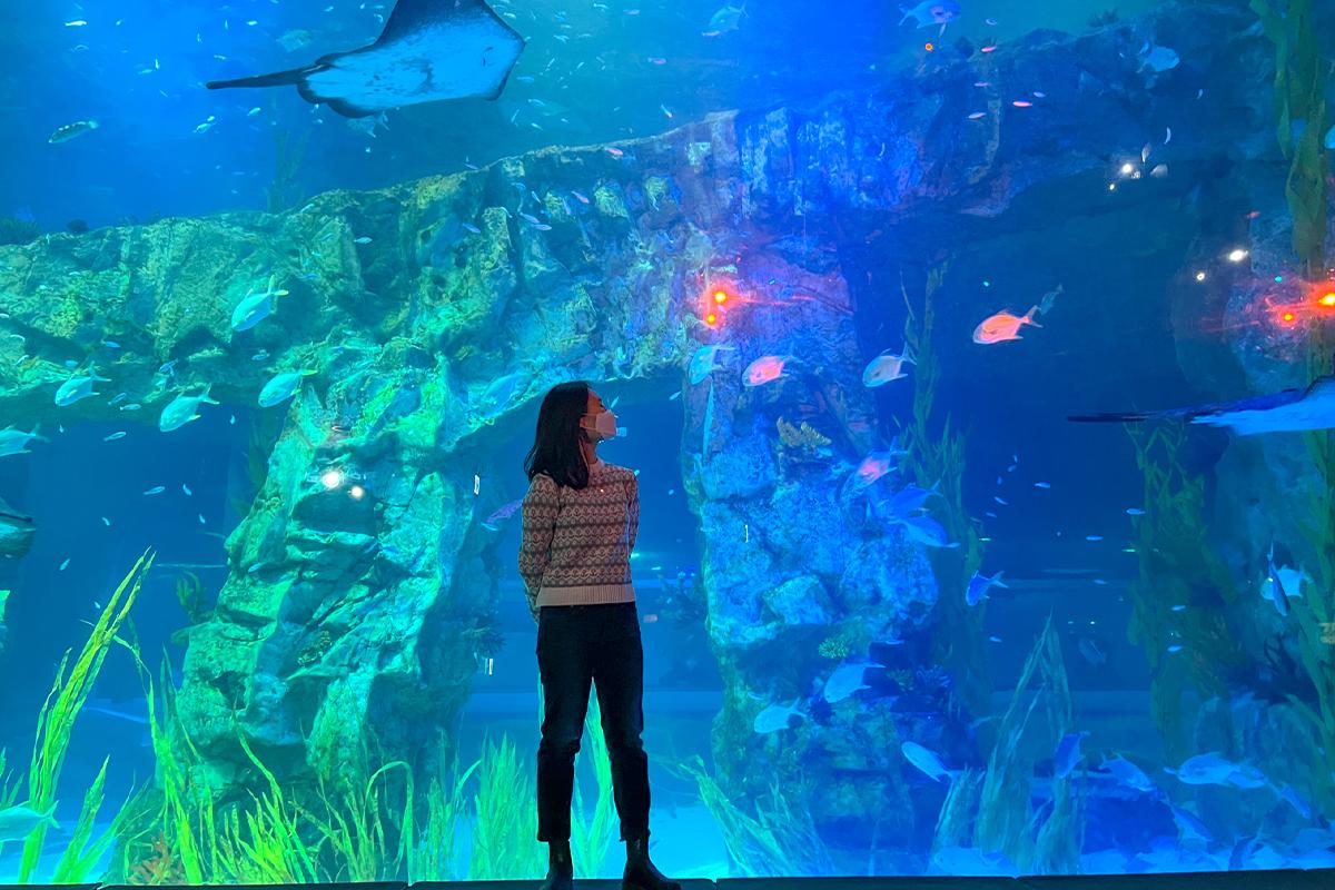 bể chính ở Lotte World Aquarium 롯데월드 아쿠아리움 - Tổng hợp các trải nghiệm thú vị độc đáo chỉ có ở Jamsil bạn không nên bỏ lỡ