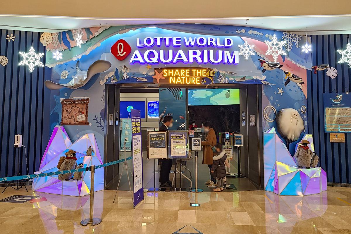 Lotte World Aquarium 롯데월드 아쿠아리움 - Tổng hợp các trải nghiệm thú vị độc đáo chỉ có ở Jamsil bạn không nên bỏ lỡ