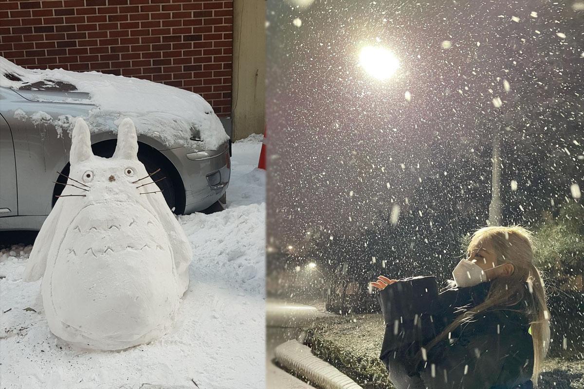 อากาศเกาหลี