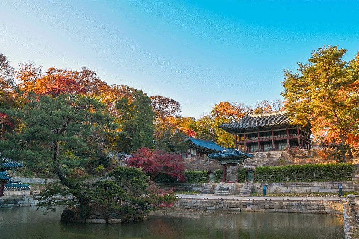 紅葉が彩る昌徳宮後苑の池とあずまや