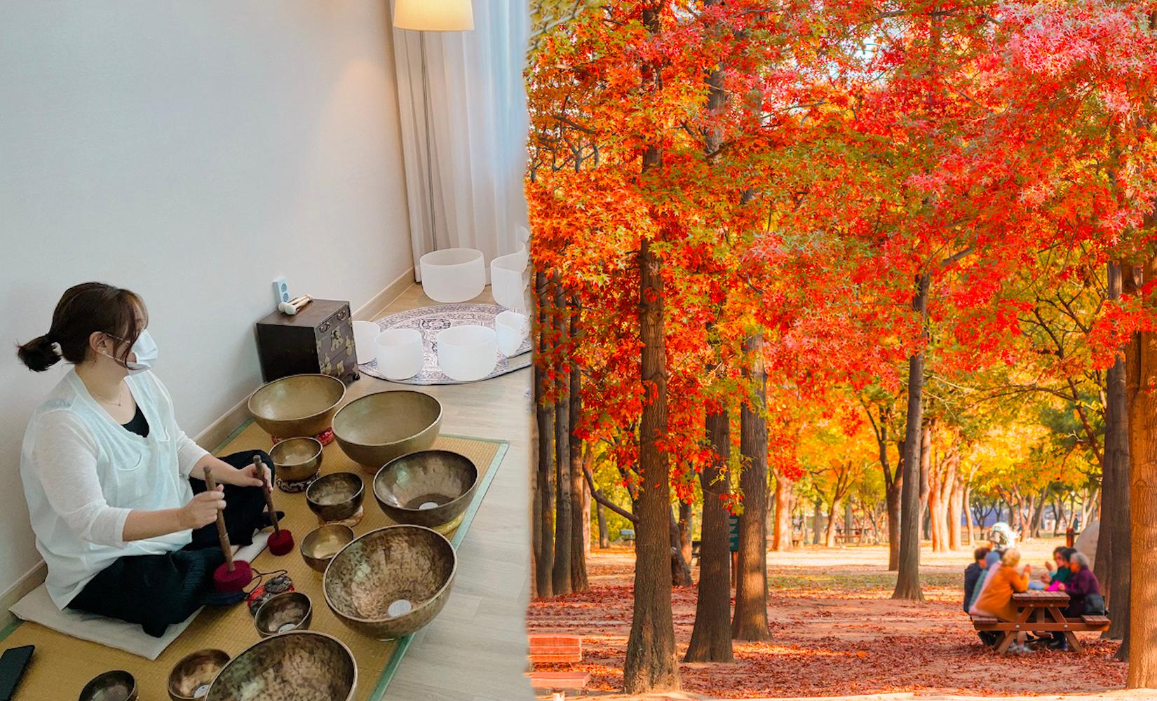 ทัวร์ผ่อนคลาย 1 วันรอบ ๆ กรุงโซลโดยรถไฟใต้ดิน