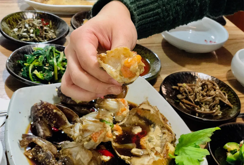 พยอกโอดง (벽오동)