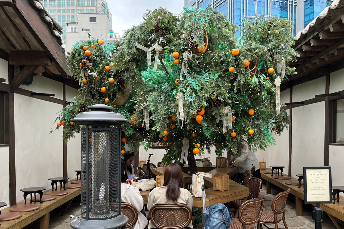 益善洞Cafe總整理 益善洞Cafe 益善洞咖啡廳 益善洞必去 益善洞旅行 首爾旅行 韓屋 首爾特色Cafe 自然島鹽麵包 자연도 소금빵 자연도가