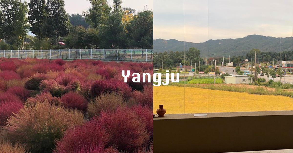 2023京畿道「楊州」旅遊懶人包