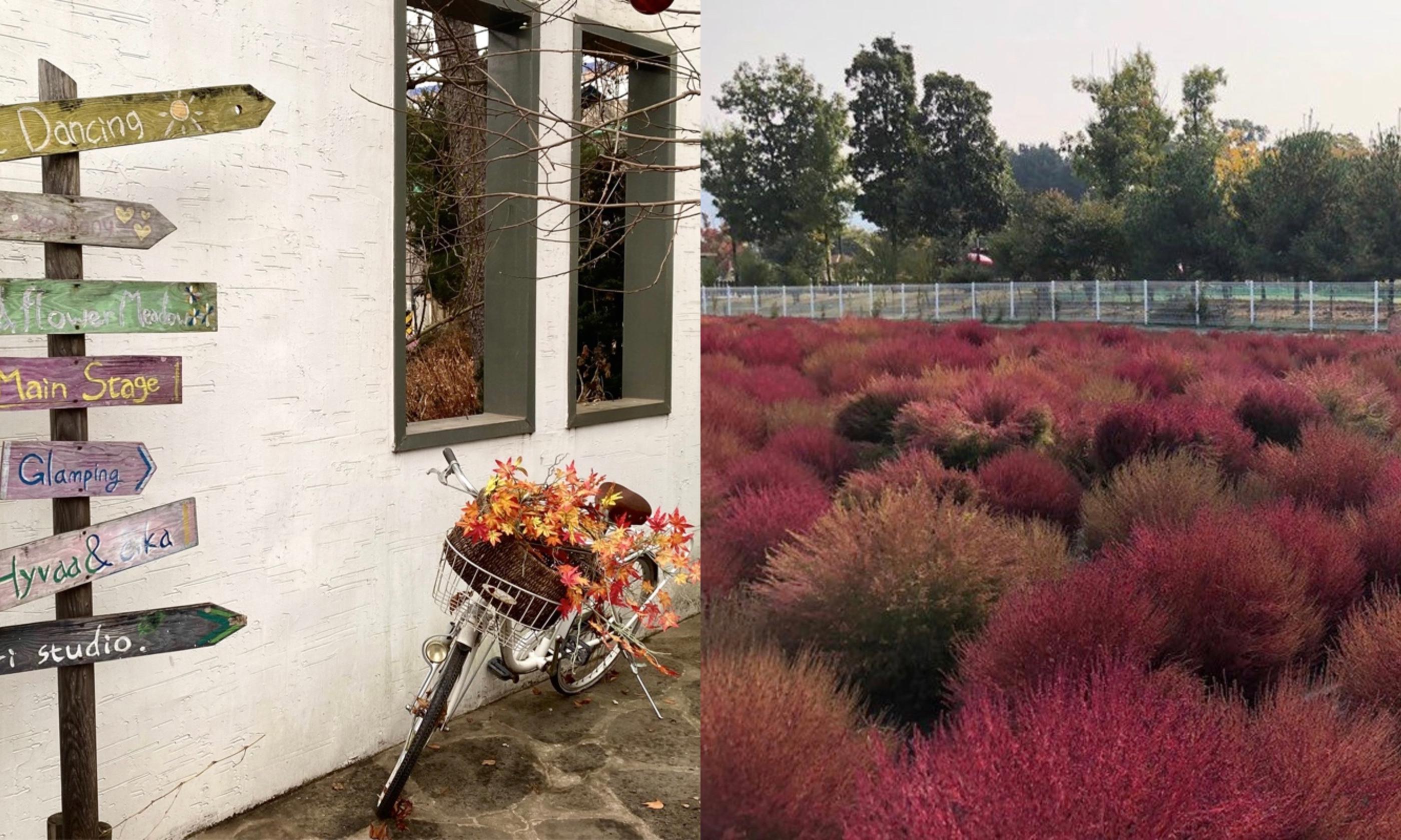 Day Trip To Yangju | Gyeonggi-do Recommendations