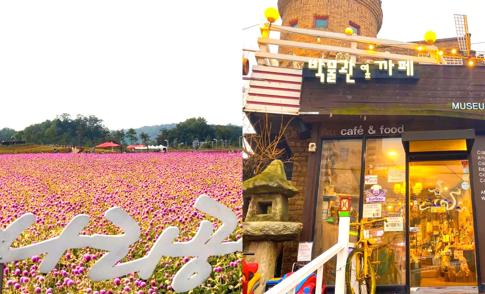 แวะสำรวจเมืองศิลปะยางจู, คยองกีโด