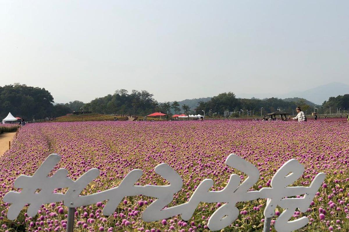 韓国、韓国旅行、ソウル、ソウル旅行、楊州、京畿道