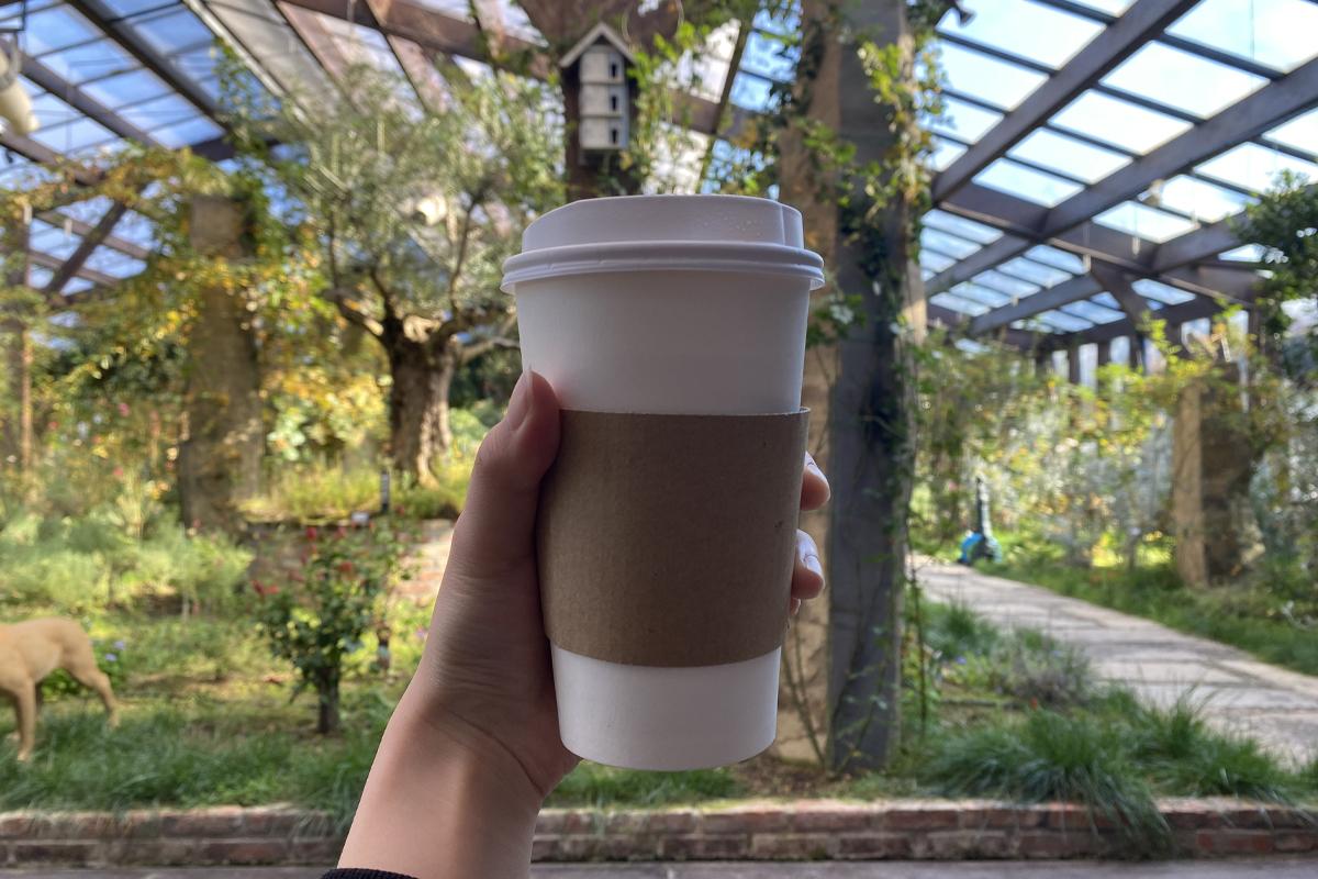 Yeoncheon Tour: Herb Village Coffee Factory Hibiscus Tea