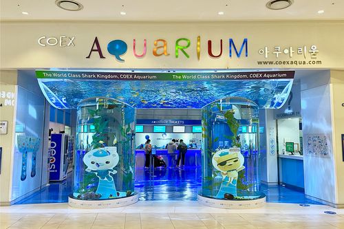 COEX Aquarium 코엑스 아쿠아리움 - Tổng hợp các trải nghiệm thú vị độc đáo ở Samseong-dong