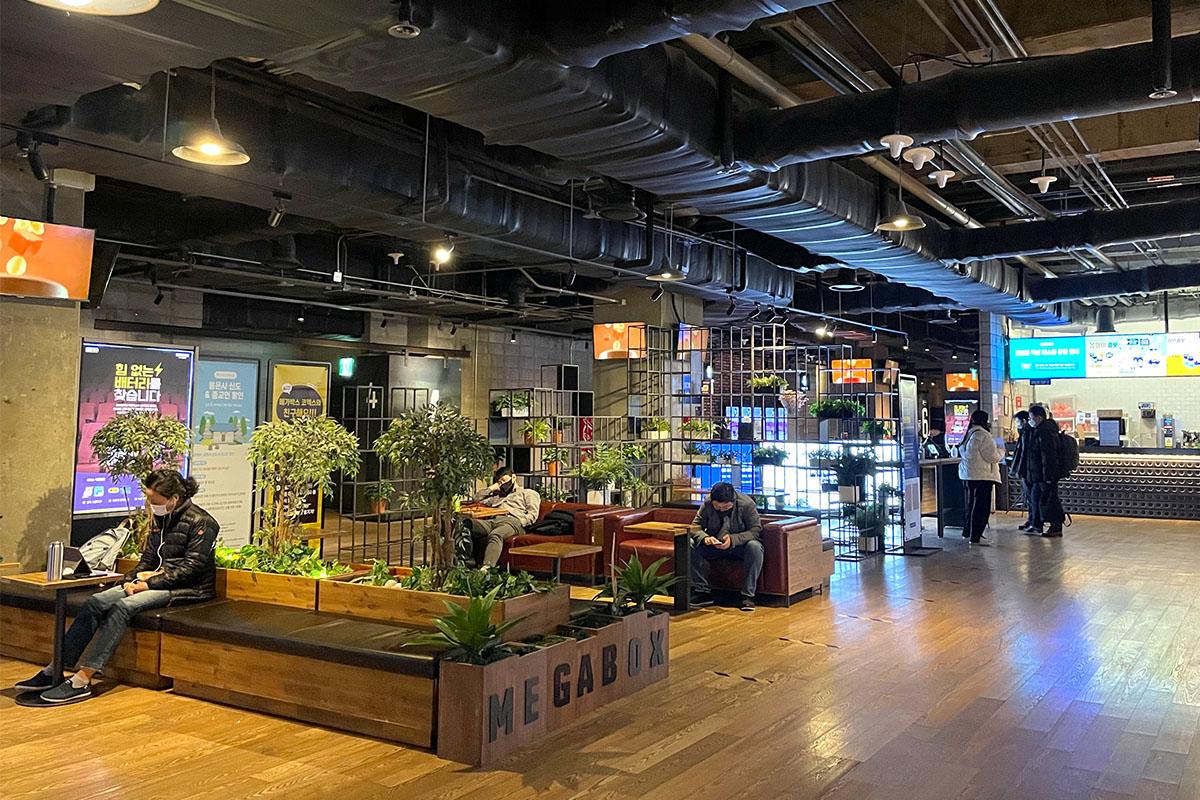 韓国、韓国旅行、韓国観光、ソウル、ソウル旅行、江南、カンナム、三成洞、サムソンドン、COEX、コエックス、韓国アクティビティ、遊びスポット、ピョルマダン図書館、アクアリウム、水族館、奉恩寺、テンプルステイ、映画館、MEGABOX