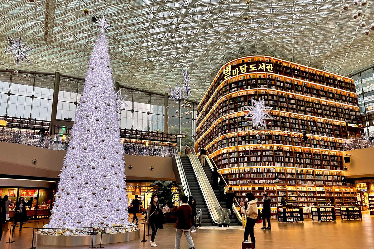 韓国、韓国旅行、韓国観光、ソウル、ソウル旅行、江南、カンナム、三成洞、サムソンドン、COEX、コエックス、韓国アクティビティ、遊びスポット、ピョルマダン図書館、アクアリウム、水族館、奉恩寺、テンプルステイ