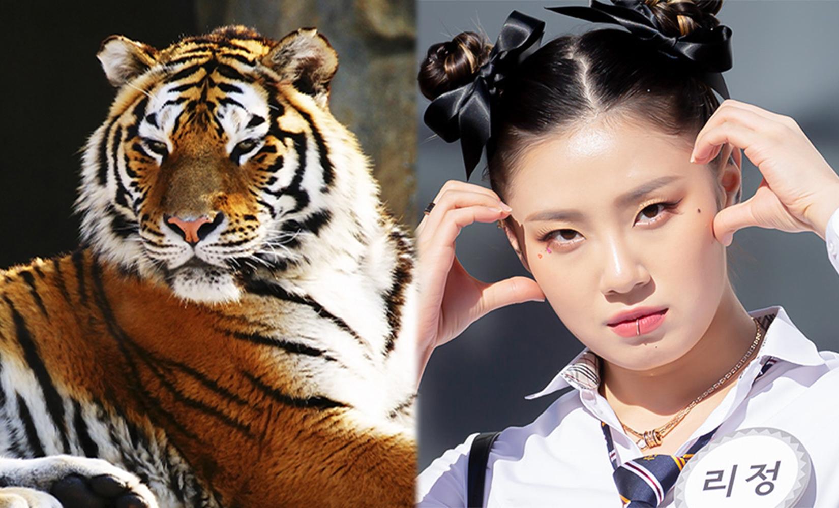 Korean Celebrities Born In The Year Of The Tiger-thumbnail