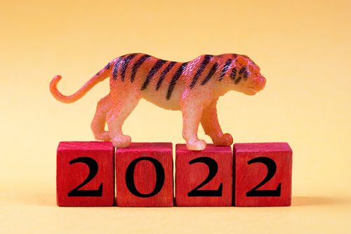 2022 year of the tiger, zodiac