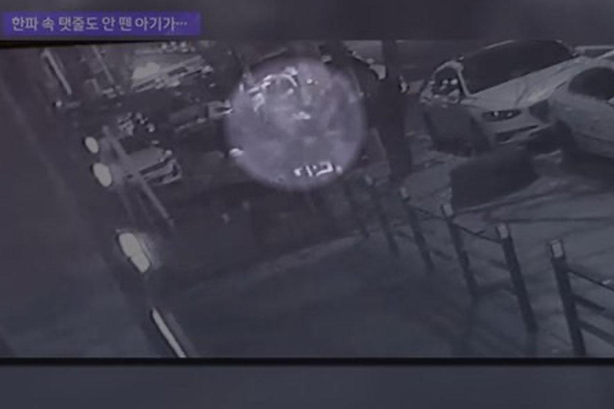 เด็กทารก