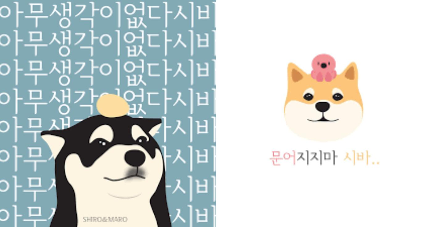 ศัพท์ภาษาเกาหลีที่ออกเสียงเหมือนคำหยาบ