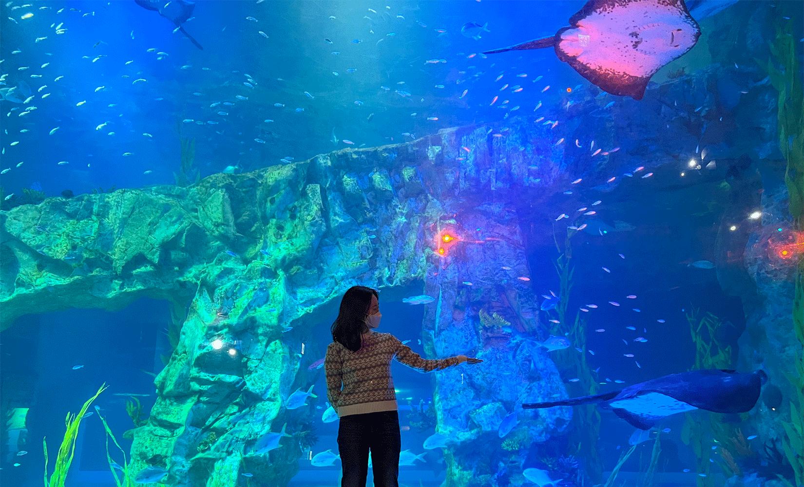 Lotte World Aquarium | Jamsil