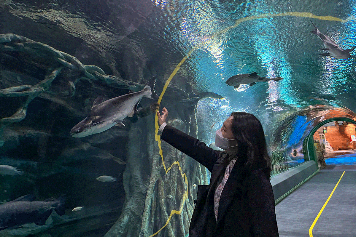 Lotte World Aquarium: Ocean Tunnel photo zone