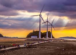 Pulau Daebudo: Tur Pengalaman Mudflat