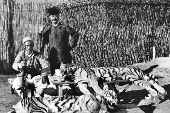 韓国、韓国文化、韓国歴史、韓国象徴、虎、トラ、韓国キャラクター、ホドリ、スホラン、韓国シンボル、タングン神話、昔話、ことわざ