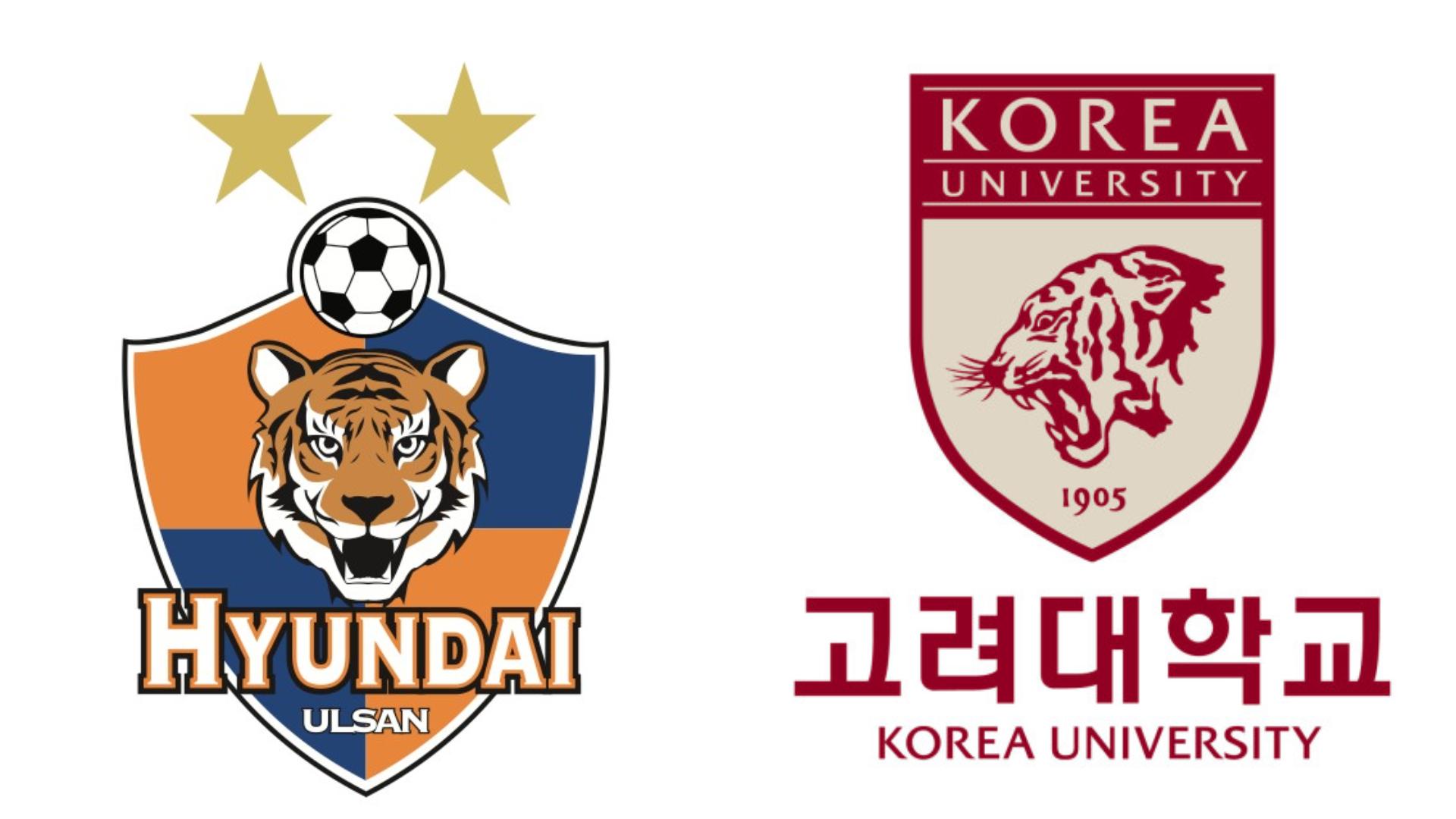 韓国、韓国文化、韓国歴史、韓国象徴、虎、トラ、韓国キャラクター、ホドリ、スホラン、韓国シンボル、タングン神話、昔話、ことわざ