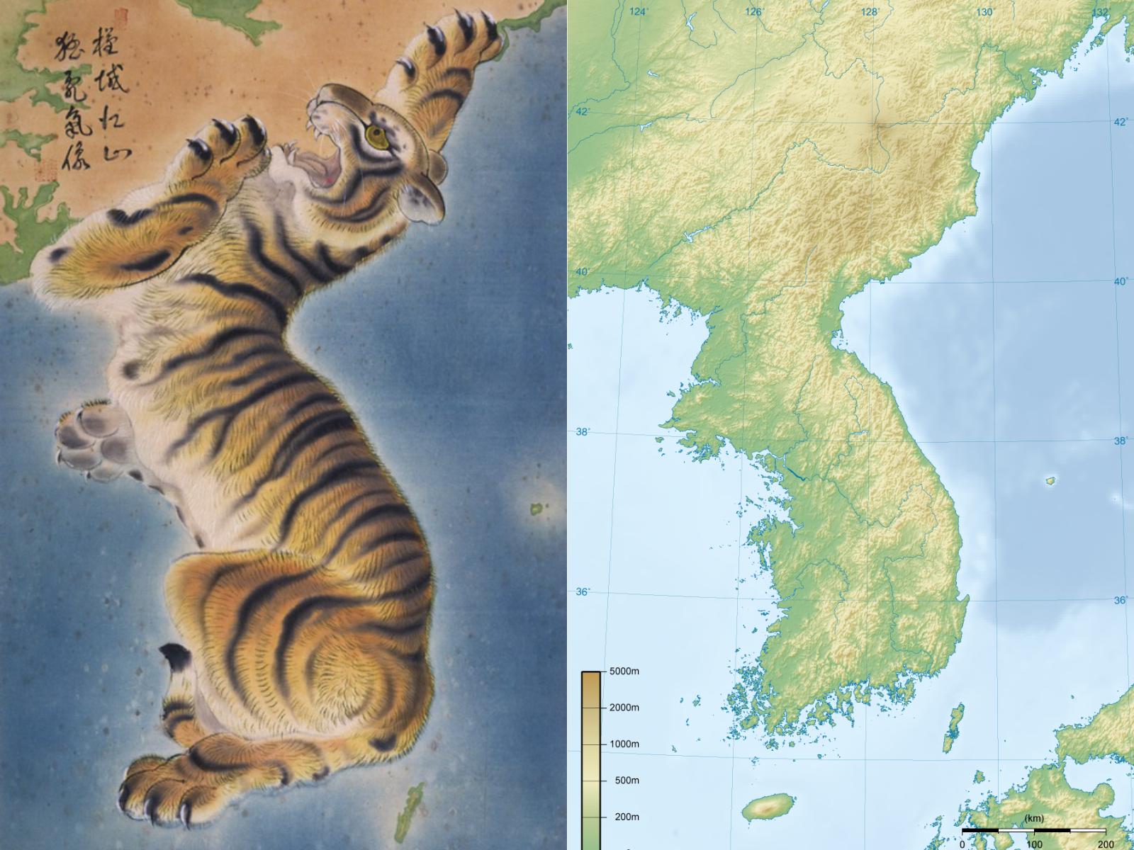 韓国、韓国文化、韓国歴史、韓国象徴、虎、トラ、韓国キャラクター、ホドリ、スホラン、韓国シンボル、タングン神話、昔話、ことわざ