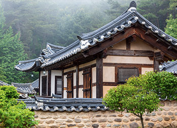 被綠色樹林包圍的雄偉的韓國傳統屋頂屋簷。 - 韓屋自然美學