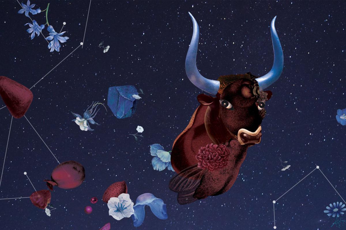 ราศีพฤษภ