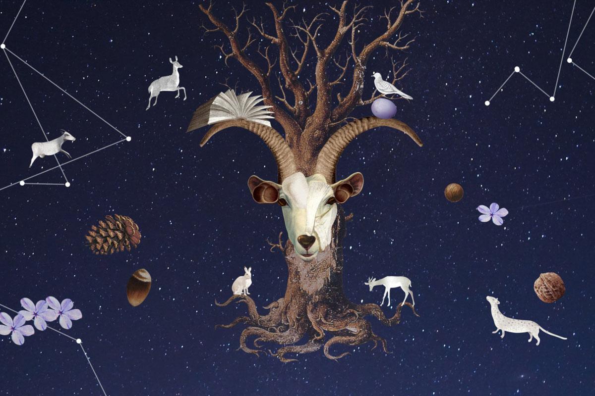 ราศีมังกร