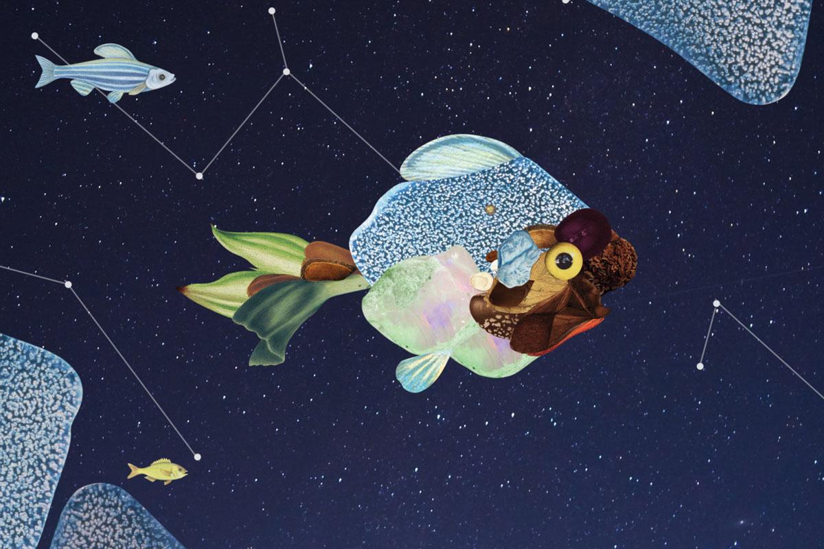 ราศีมีน