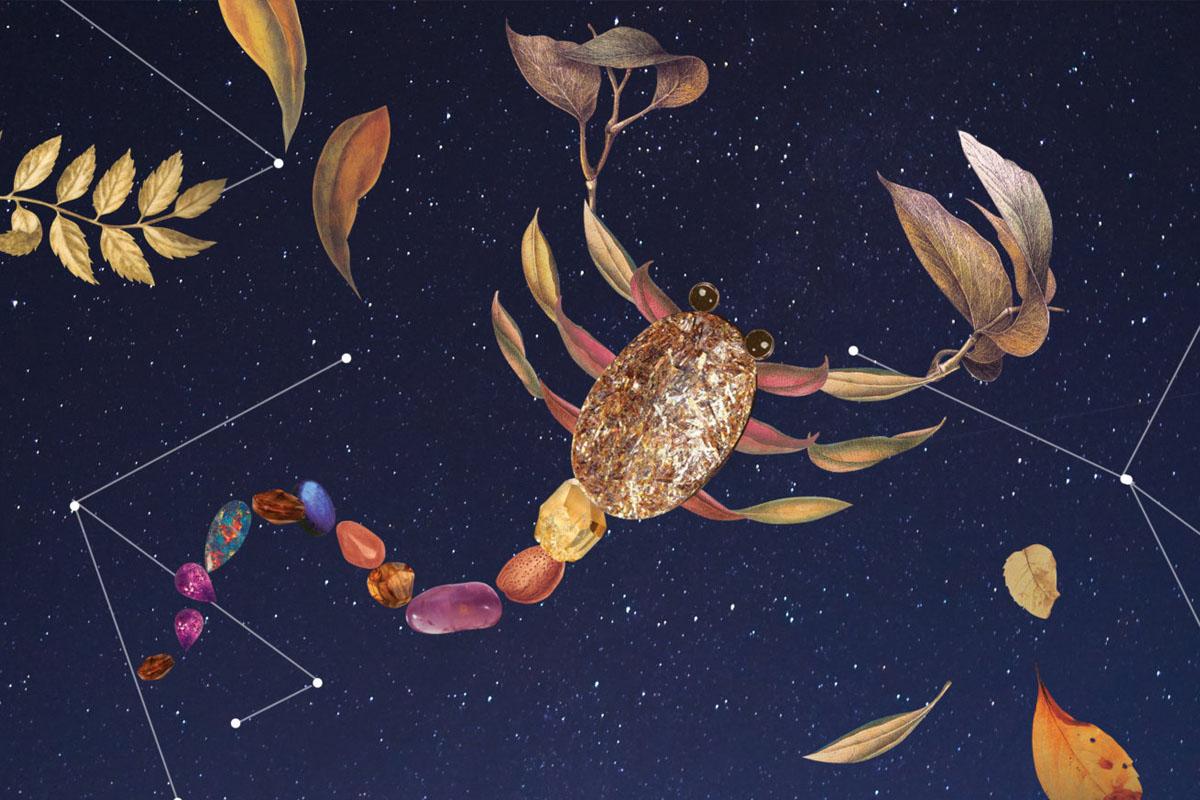 ราศีพิจิก