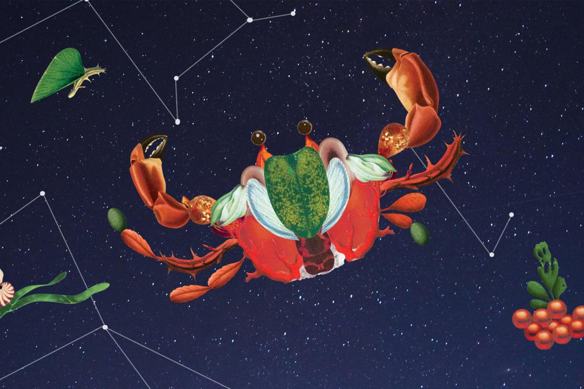 ราศีกรกฎ