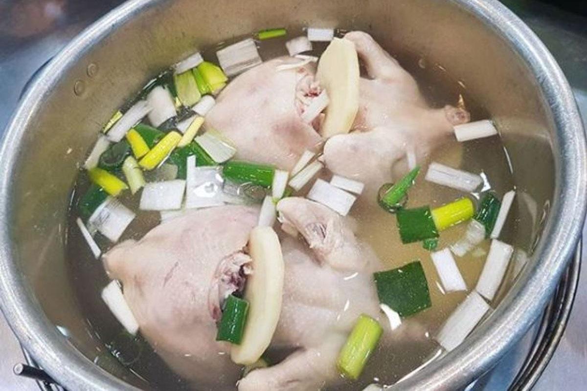 東大門美食 陳玉華奶奶元祖一隻雞