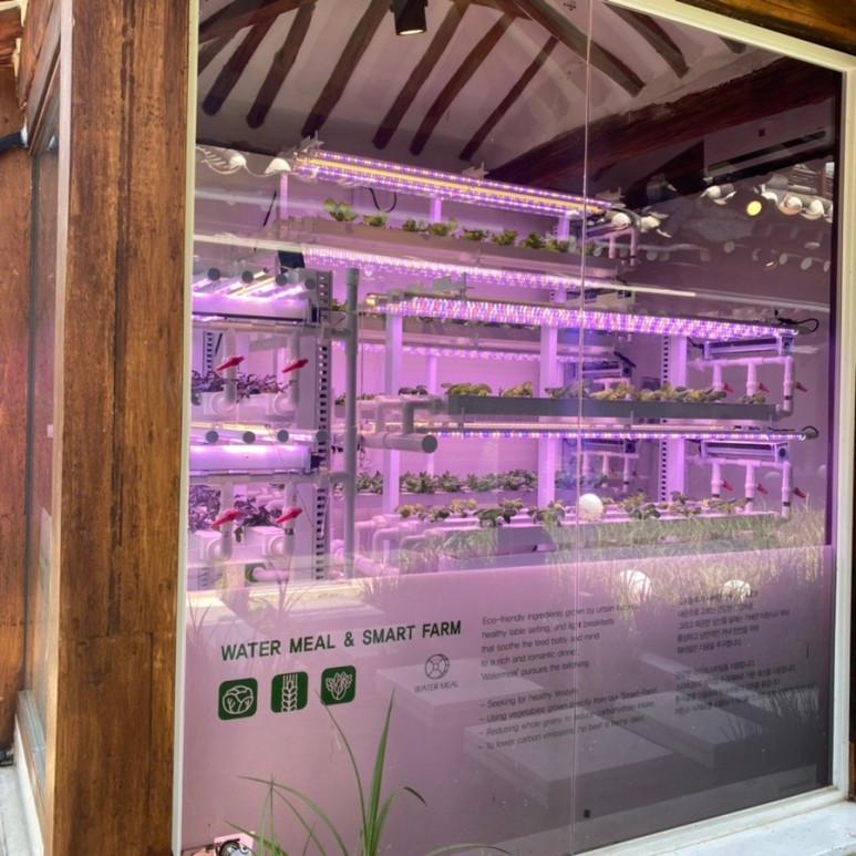 綜藝 拍攝場景 劉在錫 第六感