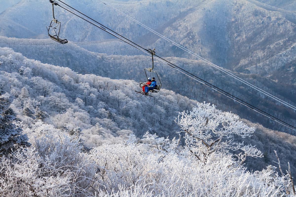 Yongpyong Resort Winter Ski Korea Festival
