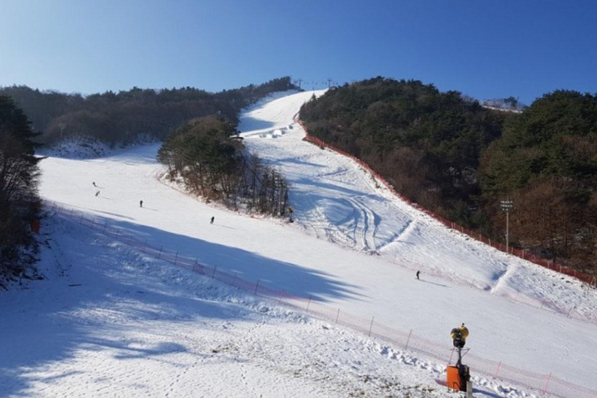slopes covered in snow at Welli Hilli Park Winter Ski Korea Festiva