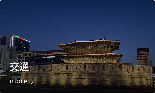 夜のライトアップされた興仁之門、ソウルの美しさを映し出す