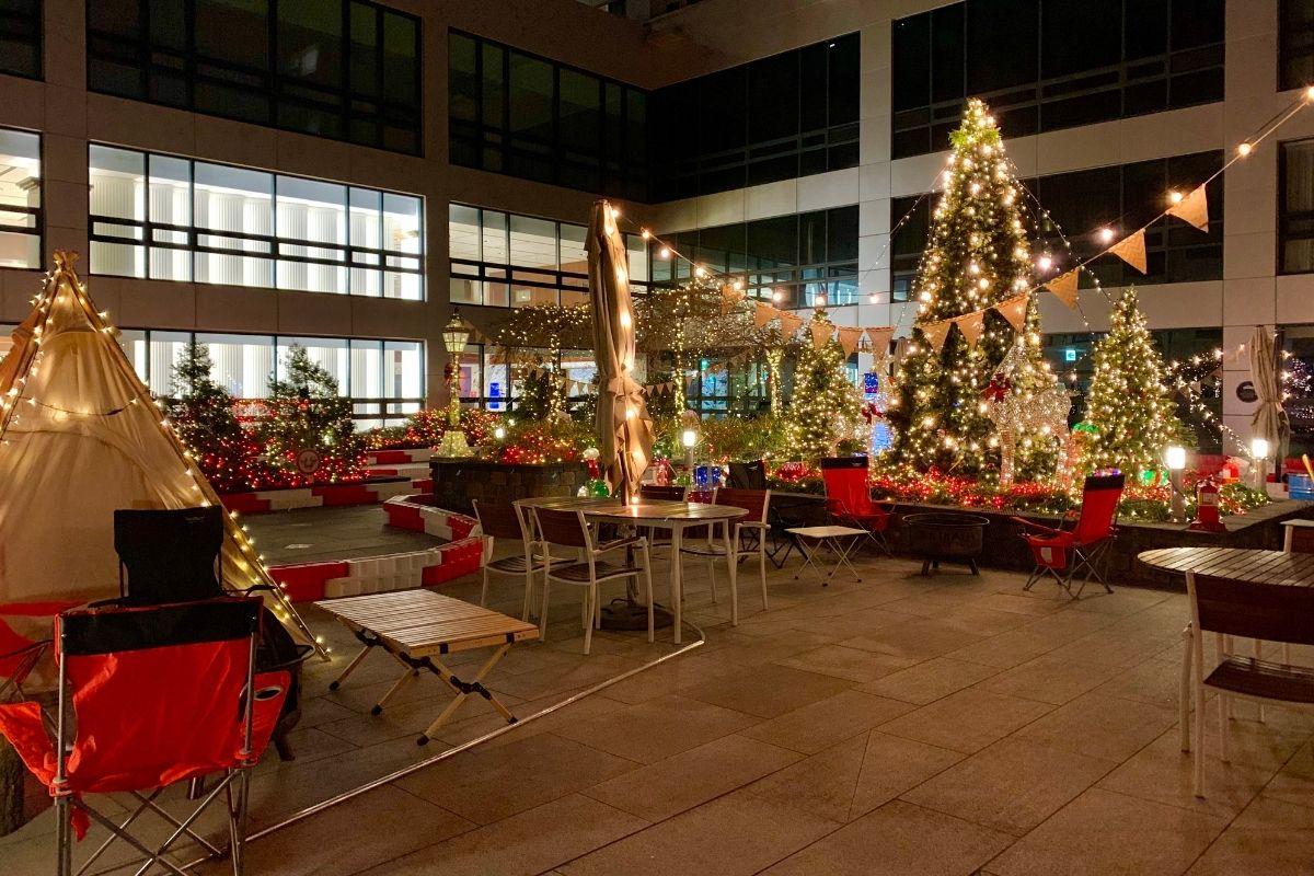 khu vườn ở khách sạn Hotel Skypark Kingstown Dongdaemun