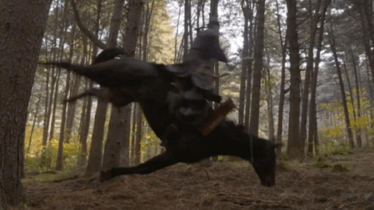 KBSドラマ「太宗イ・バンウォン」の落馬シーン、動物虐待論議が巻き起こったシークエンス