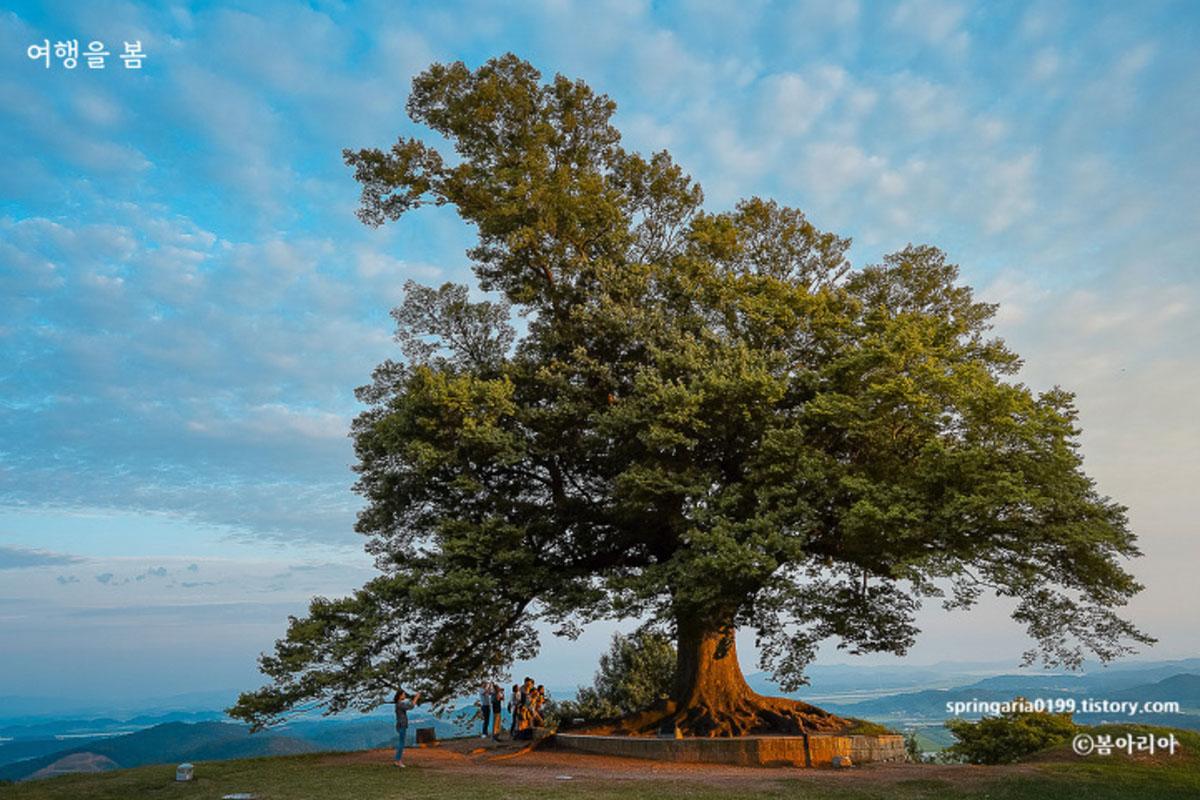 ตามรอยซีรีส์เกาหลี