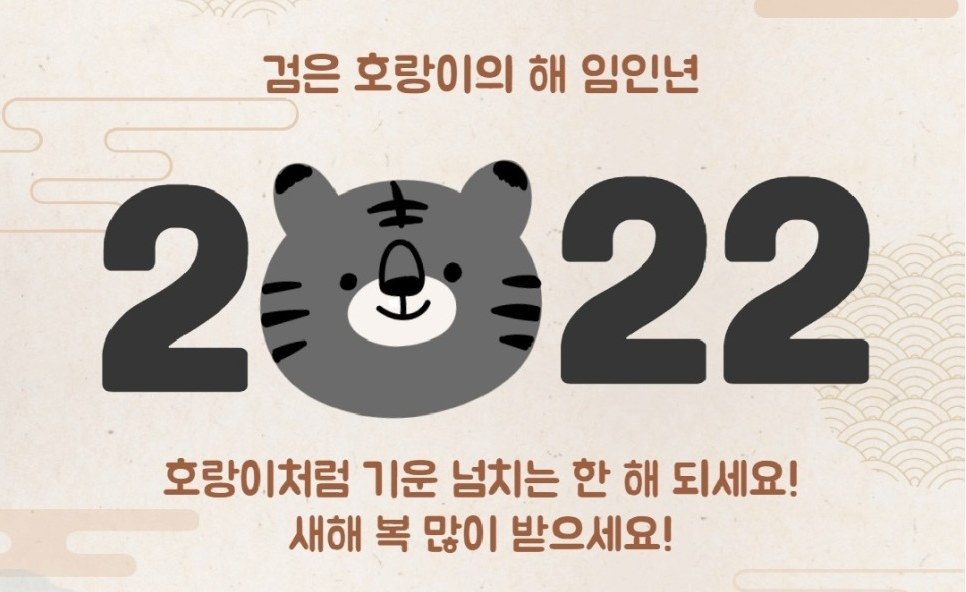 一只虎脸卡通形象和2022年象征虎年的文字，传达韩国新年祝愿。
