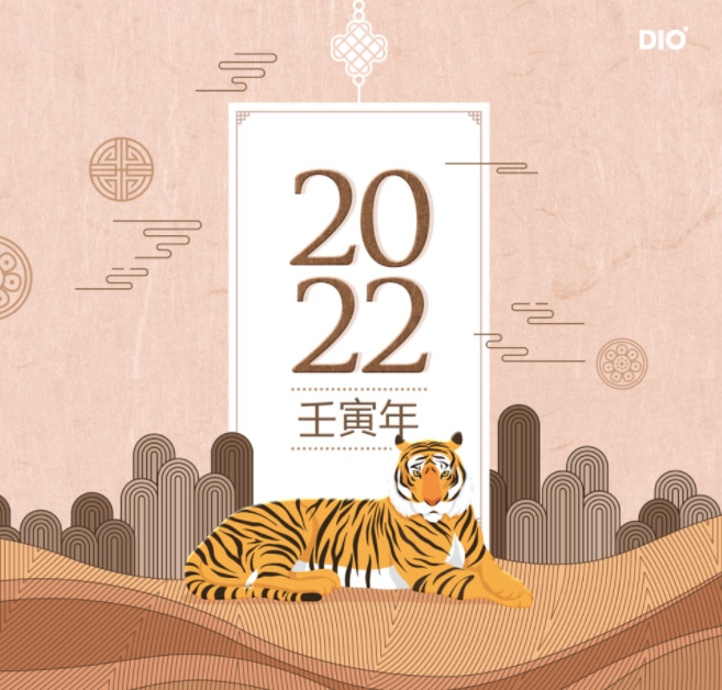 一张2022年象征虎年的插画，其中包含一只悠闲的虎和传统图案背景。